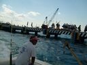 ECBC2007_116.jpg