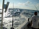 ECBC2007_124.jpg