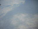 coz07043.JPG