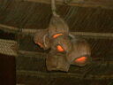 Filename=coz07360.JPG
Filesize=107KiB
Dimensions=640x480
Date added=Sep 19, 2026 coz07360.JPG