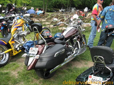 djswed0048.jpg