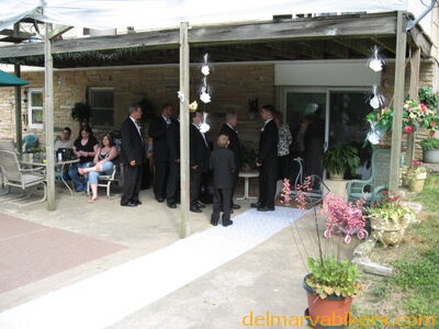 djswed0059.jpg