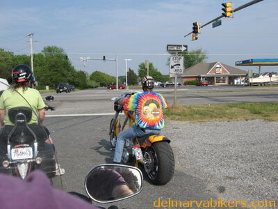 djswed0115.jpg