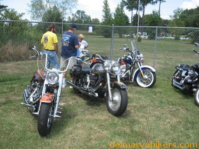 em_0019.jpg