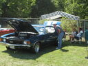 em_0072.jpg
