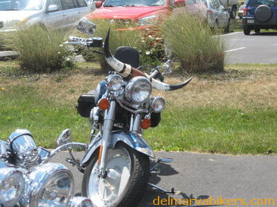 getb0080.jpg