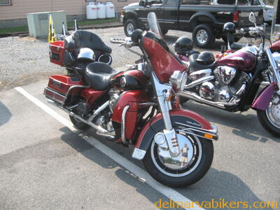 star0017.jpg