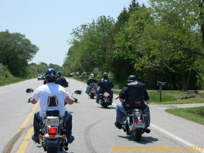 DSCN1205.JPG