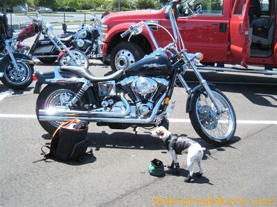 2008_05-13_MB_BK_Wk_285629.jpg