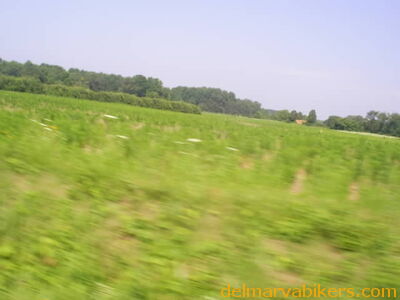 S4023523.JPG