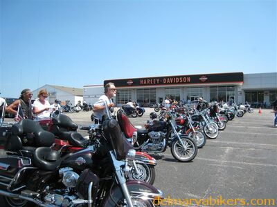 brs0608131.jpg