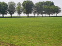 S4023526.JPG