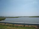 brs0608126.jpg