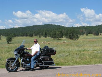 IMG_0774.JPG