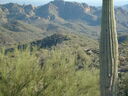 Filename=S6300116.JPG
Filesize=224KiB
Dimensions=1024x768
Date added=Sep 19, 2026 S6300116.JPG