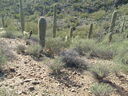 Filename=S6300118.JPG
Filesize=247KiB
Dimensions=1024x768
Date added=Sep 19, 2026 S6300118.JPG