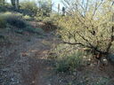 S6300141.JPG