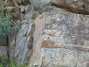 S6300148.JPG