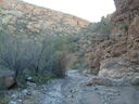 Filename=S6300157.JPG
Filesize=211KiB
Dimensions=1024x768
Date added=Sep 19, 2026 S6300157.JPG