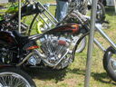 vabc035.jpg
