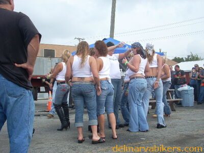 bbobs0188.JPG