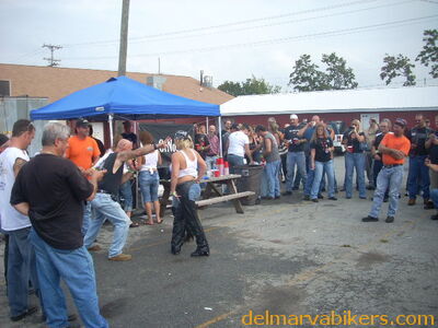 bbobs0229.JPG