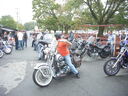 bbobs0047.JPG