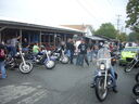 bbobs0049.JPG