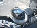 helpaf0353.JPG