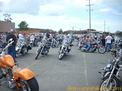 DSCN3120.JPG