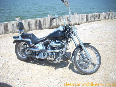 DSCN2516.JPG
