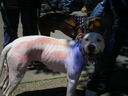 IMGP0642.jpg