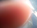 DSCN1389.JPG