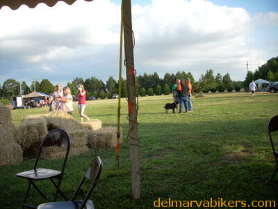 DSCN7944.JPG