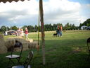 DSCN7944.JPG
