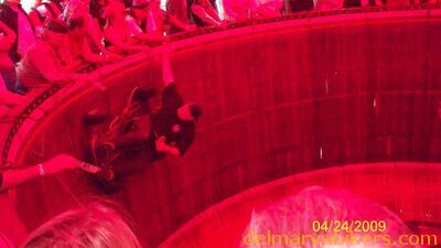 100_0791.JPG