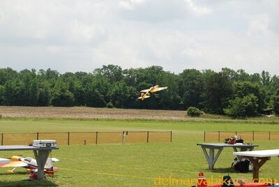 DSC_0313.jpg