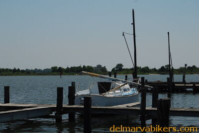 DSC_0334.jpg