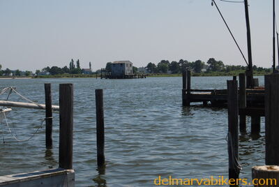 DSC_0345.jpg