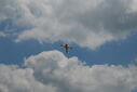 Filename=DSC_0315.jpg
Filesize=60KiB
Dimensions=640x429
Date added=Sep 19, 2026 DSC_0315.jpg