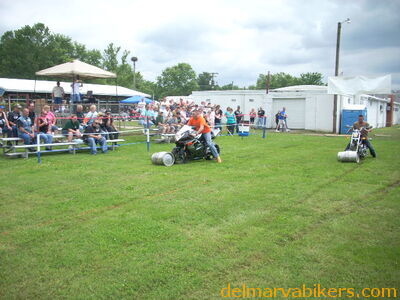 DSCN6246.JPG