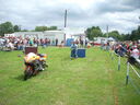 DSCN6264.JPG