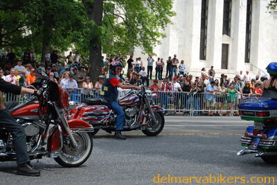 DSC_0042.jpg