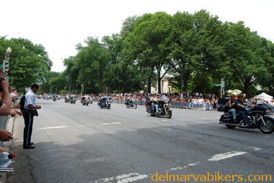 DSC_0043.jpg