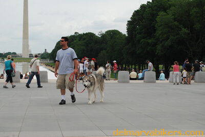 DSC_0074.jpg