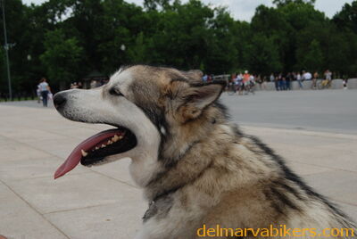 DSC_0076.jpg