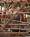 DSC_0116a.jpg