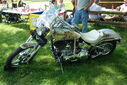 TinMan_Pignic_4_25_09_-_10.jpg