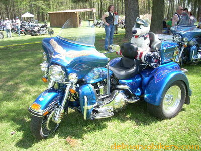 DSCN5725.JPG