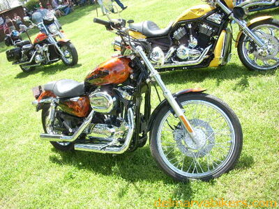 DSCN5727.JPG